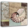 thumbnail image 1 of Paul Brent 15x15 Gallery Wrapped Canvas Wall Art Titled - Santa Rosa Shell II, 1 of 4