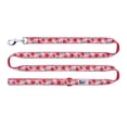thumbnail image 1 of RC Pets, Leash - Strawberries - Dog Leash, 1 of 1