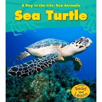 Sea Turtle