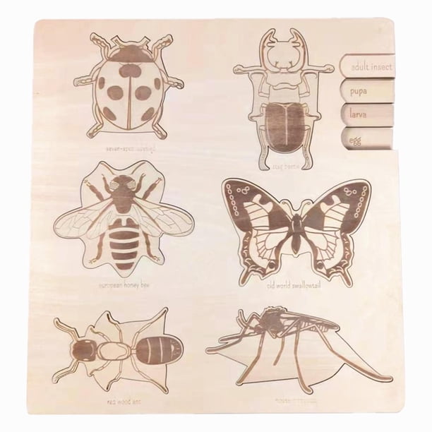 Montessori Rompecabezas de madera Juguete educativo temprano Juguetes interactivos para padres e hijos Ciclo de Rompecabezas para