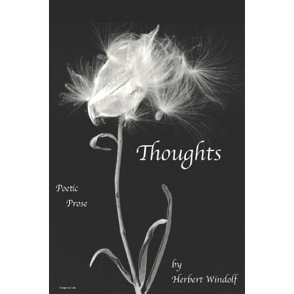 Pre-Owned Thoughts (Paperback)