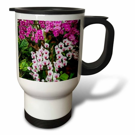 3drose, Orchids at the National Orchid Garden, Singapore., 14oz Stainless Steel Travel Mug