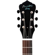 Recording King RM-993 Metal Body Parlor Resonator Guitar Distressed Vintage Green