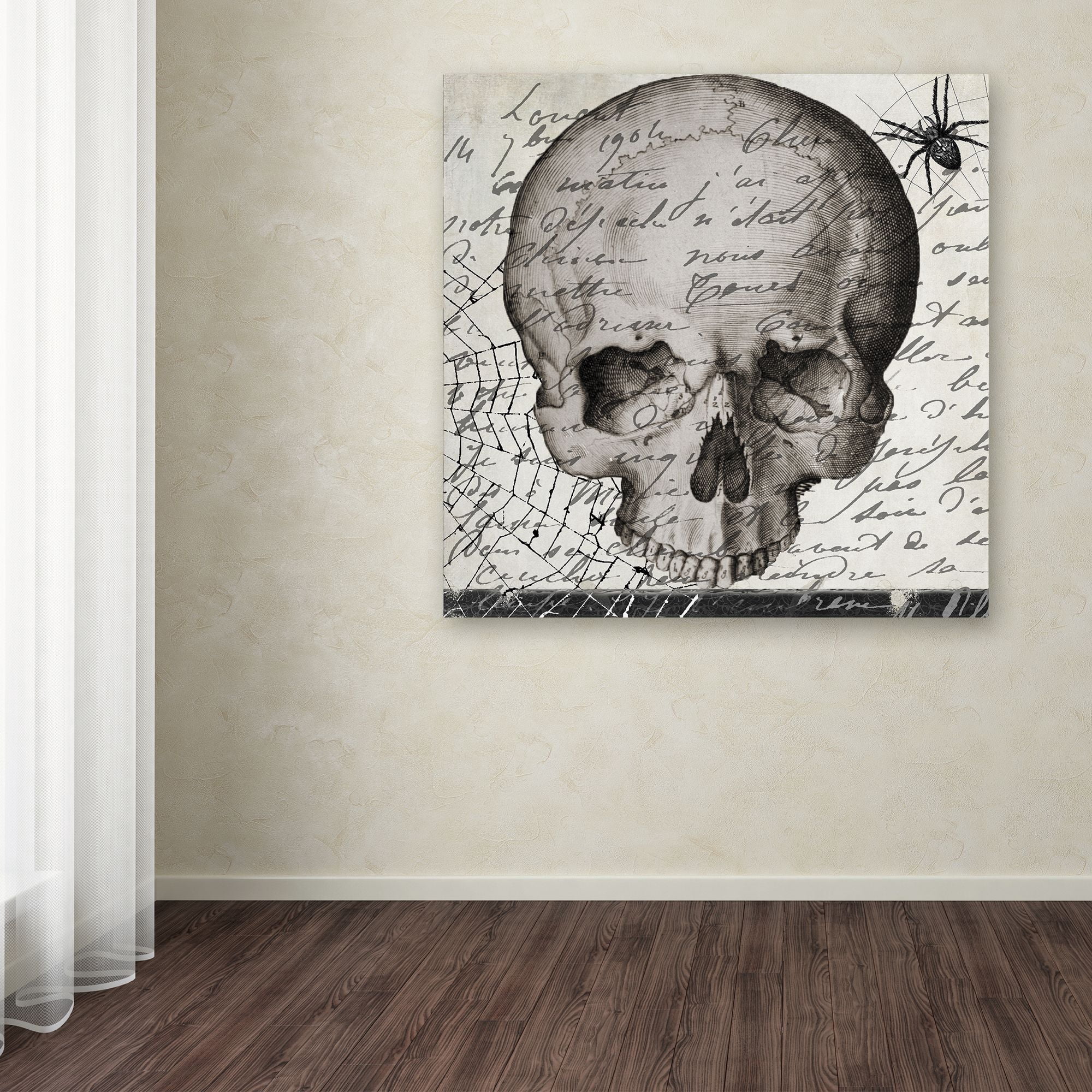 Trademark Fine Art "Halloween Skull" Canvas Art by Color Bakery