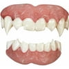 Vampire Teeth Adult Halloween Accessory