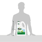 Roundup For Lawns 1 Refill (Northern) 1 gal.