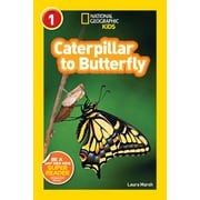 Caterpillar to Butterfly (Paperback)