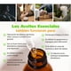 thumbnail image 4 of Paquete DE 12 Aceites Esenciales BARRO MOJADO Grado Alimenticio Frascos Pequeños, 4 of 6