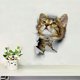 thumbnail image 4 of 6 uds 3D lindo gato decorativo pegatinas de pared para baño, decoración de pared de gatito roto para decorar dormitorio, baño, 4 of 5