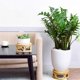 thumbnail image 3 of Boho Rattan Woven Round Decorative Risers Plant Stands Indoor, Modern Plant Stand, Wicker Short Plant Stand 2pack, 3 of 5