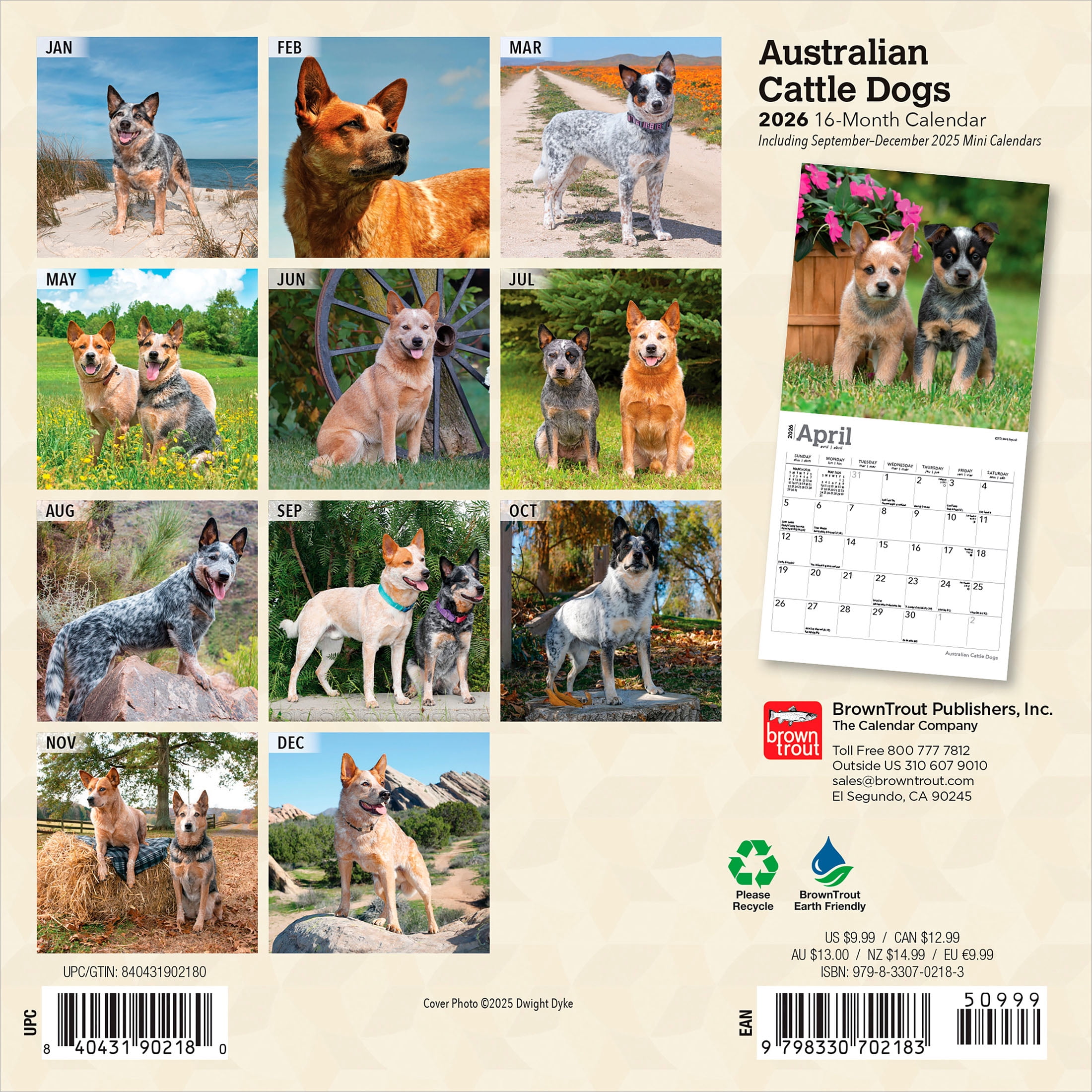 Australian Cattle Dogs | 2026 7x14" (Hanging) Mini Wall Calendar | BrownTrout