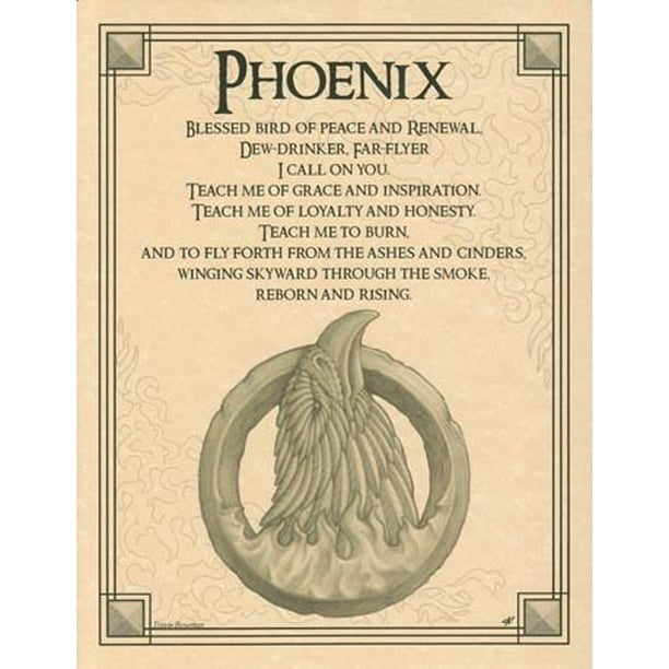 Fiery Phoenix Rise From The Ashes Parchment Poster Walmart Com Walmart Com