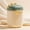 C, variante sur Distributeur Portable de Lait en Poudre à Thème Dinosaure et Contenant Alimentaire de Voyage avec Rangement Compartimenté pour Préparation de Lait Maternisé et Collations