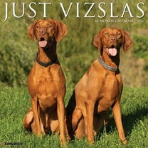 Willow Creek Press, Just Vizslas 2026 Wall Calendar, 12'' X 12'', 18-Month Calendar with Stapled Binding