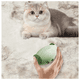 thumbnail image 5 of 2pzs Cepillo Quita Pelusa Mascotas Lavable Y Reutilizable Lab.G verde y blanco, 5 of 5