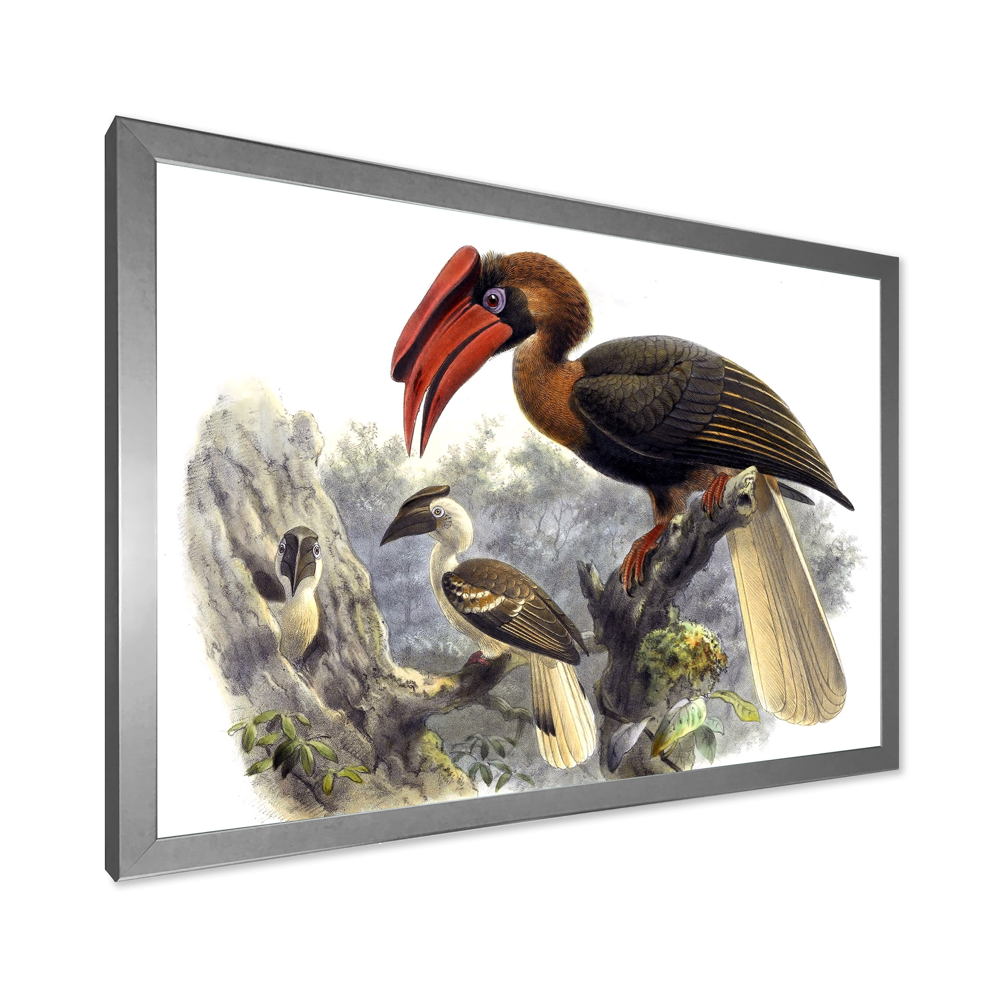 Designart 'Ancient Australian Birds XI' Traditional Framed Art Print