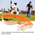 thumbnail image 3 of Dog Collar, Color Matching Durable Dog Collar With Buckle For Camping For Garden  Blue Match Color,Blue  Match Color,Orange Match Color, 3 of 8
