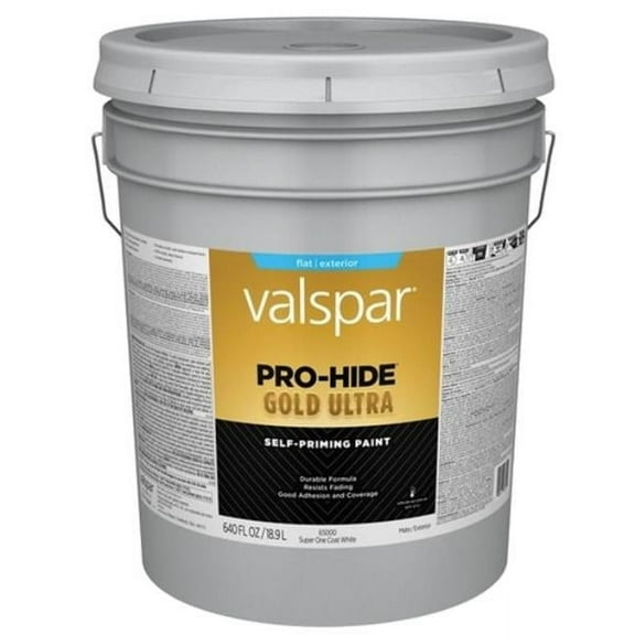 Valspar Filter Super Paint Exterior Paint - White - 640 Fl Oz