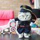 thumbnail image 1 of Disfraz de mascota divertido disfraz de pirata de Halloween disfraz de gato y perro fiesta-(policía) Afortunado Sencillez, 1 of 2