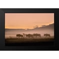 thumbnail image 2 of Moglia, Fabrizio 24x17 Black Modern Framed Museum Art Print Titled - Early morning in Serengeti, 2 of 5