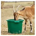 thumbnail image 6 of HT-200 16 Gallon Plastic Heated Livestock Pet Farm Animal Water Bucket Tub with Hidden De-Icer Heating , Green (2 Pack), 6 of 8