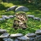 thumbnail image 3 of YiJuHui Acrylic Garden Decor, Potted Plant Floor Tiles, Decorative Courtyard Patio Stones, Waterproof Outdoor Indoor Lawn Yard Art, 3 of 6