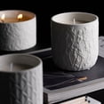 thumbnail image 4 of Bearachild Frascos para velas de línea que agregan un toque de clase a la decoración del hogar, velas vacías de lujo, tazas mate, Grassws Type3 NO3, 4 of 6