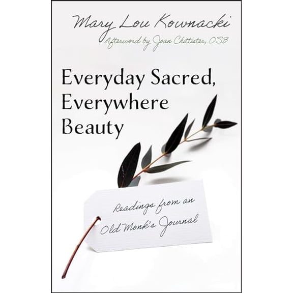 Pre-Owned Everyday Sacred, Everywhere Beauty: Readings from an Old Monks Journal (Paperback) 162698588X 9781626985889