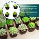 thumbnail image 4 of Bearachild Oficina de jardín de plantas en maceta de cerámica negra suculenta verde artificial Decoración tipo 1, 4 of 6