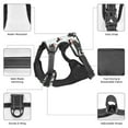 thumbnail image 3 of Vsdgher Dachshund On A Skateboard Pattern Dog Harness,No Pull Pet Harness with Soft Padded Handle,Adjustable Reflective Vest with 2 Buckles,4 Slide Buckles,S-XL Medium, 3 of 4