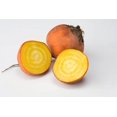 thumbnail image 2 of HIGHGW Beet Seeds (100 Seeds, Golden Boldor Beet), 2 of 2