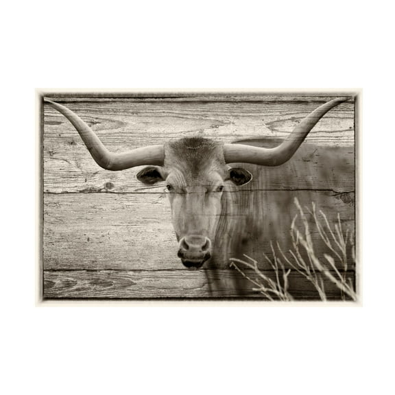 Canvas Wall Art - Gordon Semmens 'Woodgrain Antiques 2' Wall Art for Living Room, Bedroom, or Office Décor by Trademark Fine Art - 19 x 12 Inches