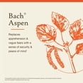 thumbnail image 3 of Bach Flower Essences  Aspen | Álamo temblón, 20 ml (0,7 oz. líq.), 3 of 6