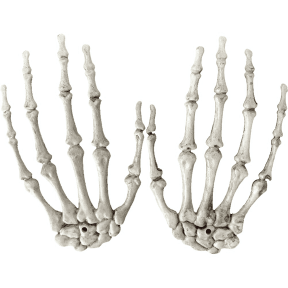 Jiibva Anatomical Hand Model, Realistic Articulated Sculpture for Display and Educational Décor