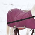 thumbnail image 4 of FELTECHELECTR 2Ud Elásticas Ajustables Para Manta De Caballo Con Doble Broche Giratorio Negro, 4 of 7