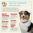 thumbnail image 5 of Country Brook Petz® 1 1/2 inch Premium I Love Mom Dog Collar, Large, 5 of 7