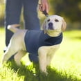 Sandistore Dog Anxiety Jacket Stress Calming Coat Adjustable Calming