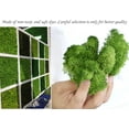 thumbnail image 6 of Moss Preserved Artificial Moss 8.8 oz Natural Fresh Green Moss for Craft Arts Floral Project Wall Decor Table Decor Wedding Centerpieces Garden Terrariums Decoration, 6 of 6