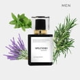 thumbnail image 3 of SPLENDID Perfume for Men | Extrait De Parfum Cologne| Essential Oil Fragrance|Deodorant Antiperspirant Spray Deodorizer (50 ml / 1.7 Fl Oz), 3 of 4