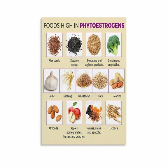 Foods High In Phytoestrogens Poster Healthy Diet Canvas Painting Wall Art Poster for Bedroom Living Room Decor