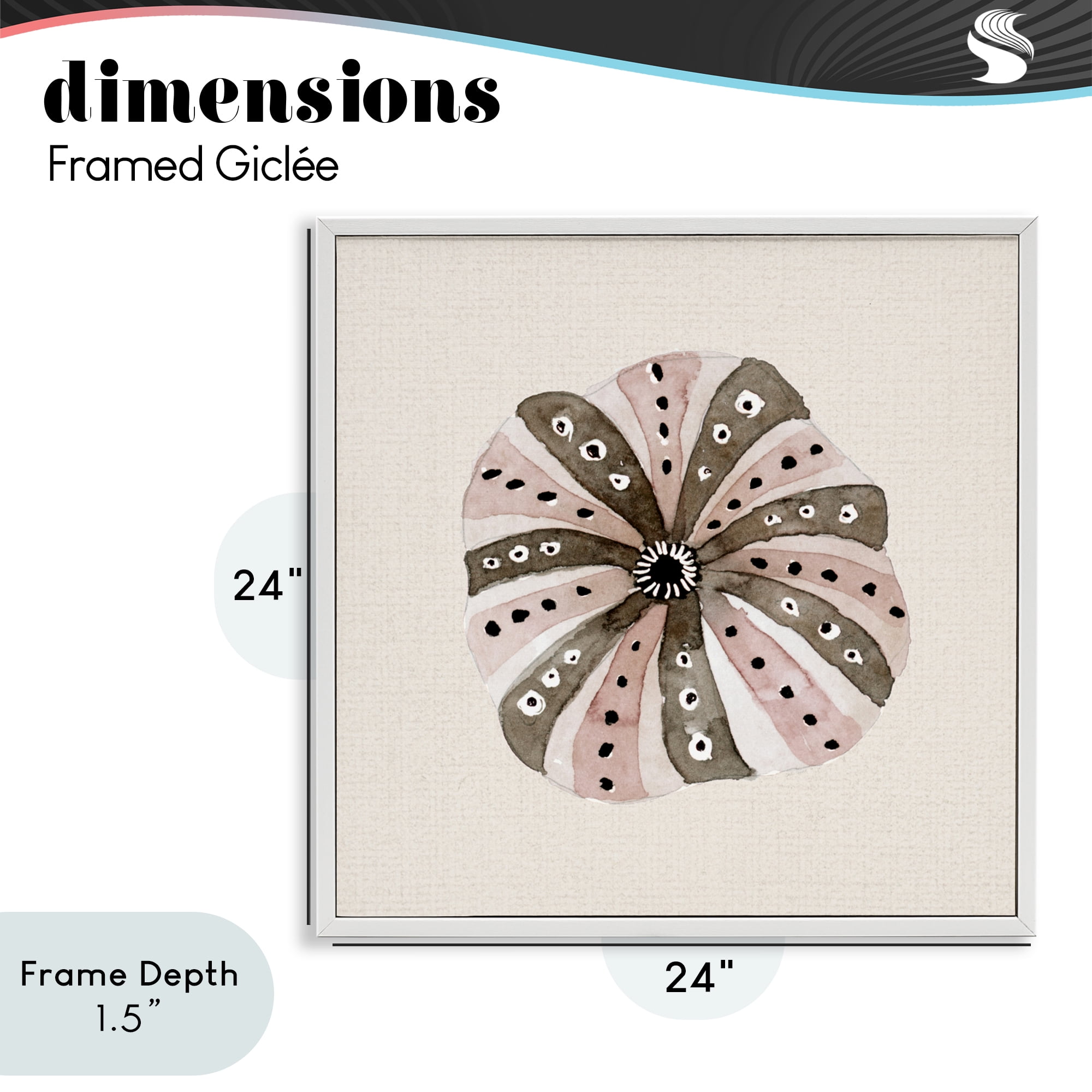 Stupell Industries Taupe Striped Sea Urchin White Framed Giclee Art, design by Lanie Loreth