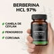 thumbnail image 3 of Quotidien | 500mg De Berberina Clorhidrato Con Canela De Ceylán, Fenogreco, Polinicotinato De Cromo, Calcio Y Cúrcuma Estandarizada (curcumina, Curcuminoides)berberine (berberis Aristata) 60 Cápsulas, 3 of 7