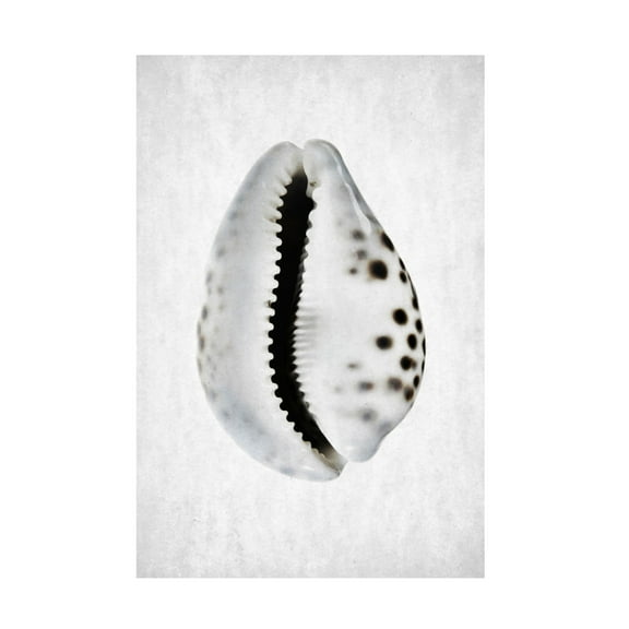 Trademark Fine Art Shot by Clint Spring Tide 01 Canvas Wall Art