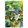 thumbnail image 3 of Tree-Free Greetings All Occasion Greeting Card 12 Pack, 100% Recycled Paper, 4x6, Frogs Frogs Frogs (FS66806), 3 of 3