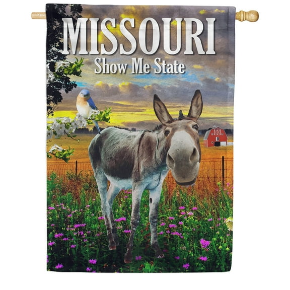 America Forever Missouri State House Flag- 28 x 40 inches - Missouri Mule and Eastern Bluebird USA Regional Yard Outdoor Decorative Double Sided Flag