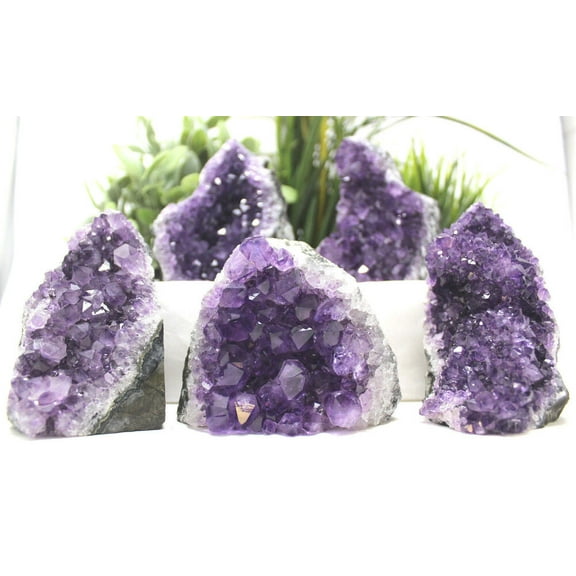 Stunning EXTRA LARGE Amethyst Cut Base Cluster Crystal Quartz Geode 12 oz - 1 lb