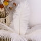 thumbnail image 2 of 10 plumas de avestruz esponjosas para fiestas de bodas, plumas de 15 a 30 cm (blanco), 2 of 5