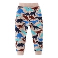 thumbnail image 3 of Bainana Boys Pants Toddler Dinosaur Print Elastic Waist Taper Leg Sweatpants Comfortable Leisure Spring Autumn Boys Trousers Beige Size 1-2 Years, 3 of 6