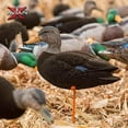 thumbnail image 6 of Avian X AXF Flocked Full Body Black Ducks Fusion Pack with Rugged Design, 6 of 10