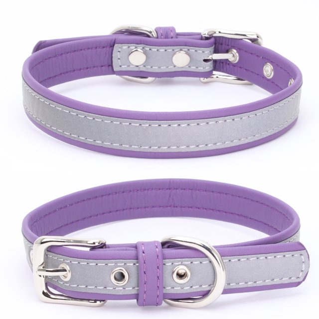 Collier pour Chien Laisse pour Chien Plaque en Acier Inoxydable Réfléchissante Lettrage Collier Lumineux pour Animal Violet/g